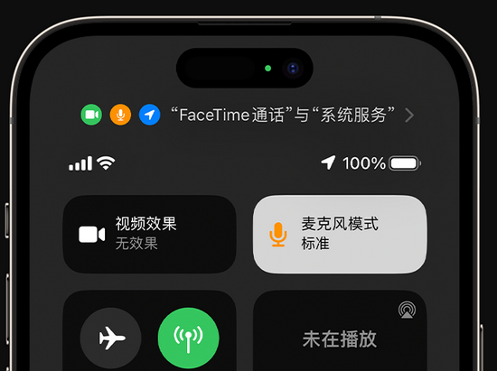 阳山苹果授权维修网点分享iPhone在通话时让你的声音更清晰 