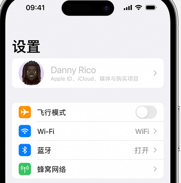 阳山appleID维修服务iPhone设置中Apple ID显示为灰色无法使用 