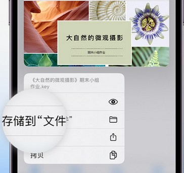 阳山apple维修中心分享iPhone文件应用中存储和找到下载文件