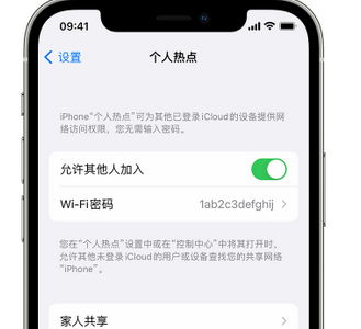 阳山apple服务站点分享iPhone上个人热点丢失了怎么办 