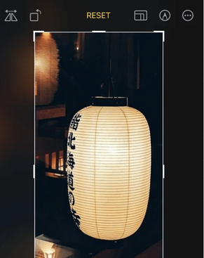 阳山苹果手机维修店分享iOS17中一键式裁剪功能使用方法