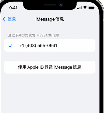 阳山apple维修iPhone上无法正常发送iMessage信息 