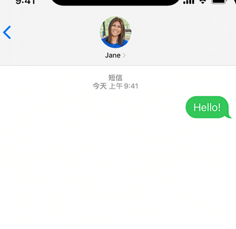 阳山apple维修iPhone上无法正常发送iMessage信息