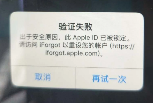 阳山iPhone维修分享iPhone上正常登录或使用AppleID怎么办 