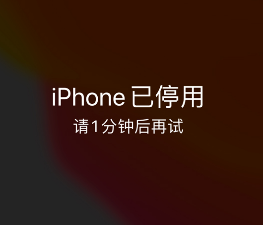 阳山苹果手机维修分享:iPhone 显示“不可用”或“已停用”怎么办？还能保留数据吗？ 