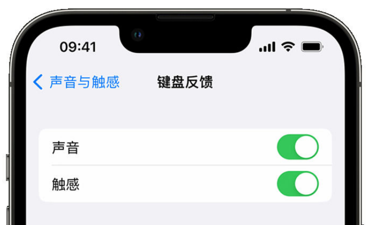 阳山苹果手机维修分享iPhone 14触感键盘使用方法 