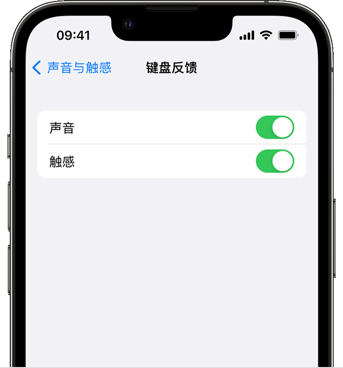 阳山苹果14维修店分享如何在 iPhone 14 机型中使用触感键盘 