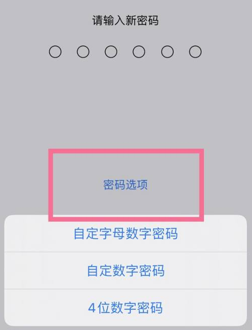 阳山苹果14维修分享iPhone 14plus设置密码的方法 