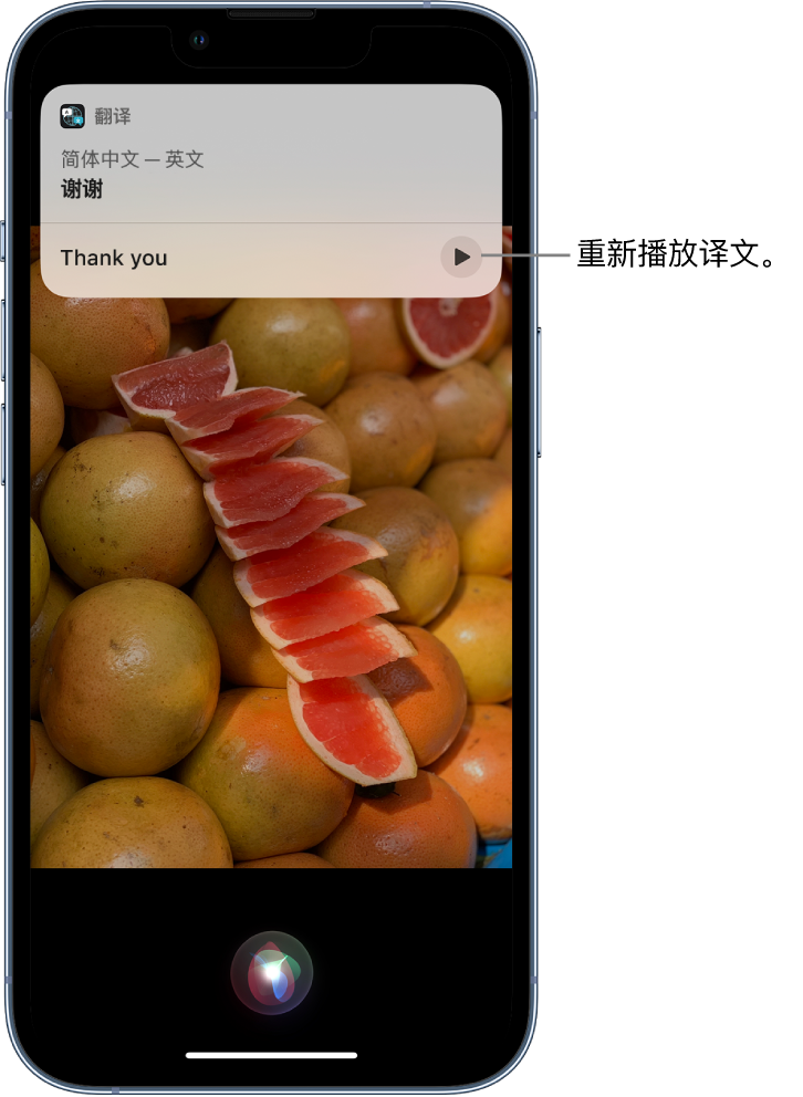 阳山苹果14维修分享 iPhone 14 机型中使用 Siri：了解 Siri 能帮你做什么 