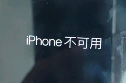 阳山苹果服务网点分享锁屏界面显示“iPhone 不可用”如何解决 