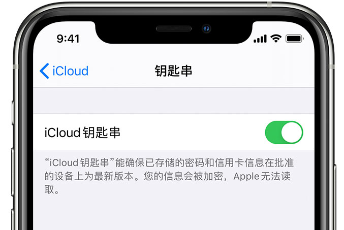 阳山苹果手机维修分享在 iPhone 上开启 iCloud 钥匙串之后会储存哪些信息 